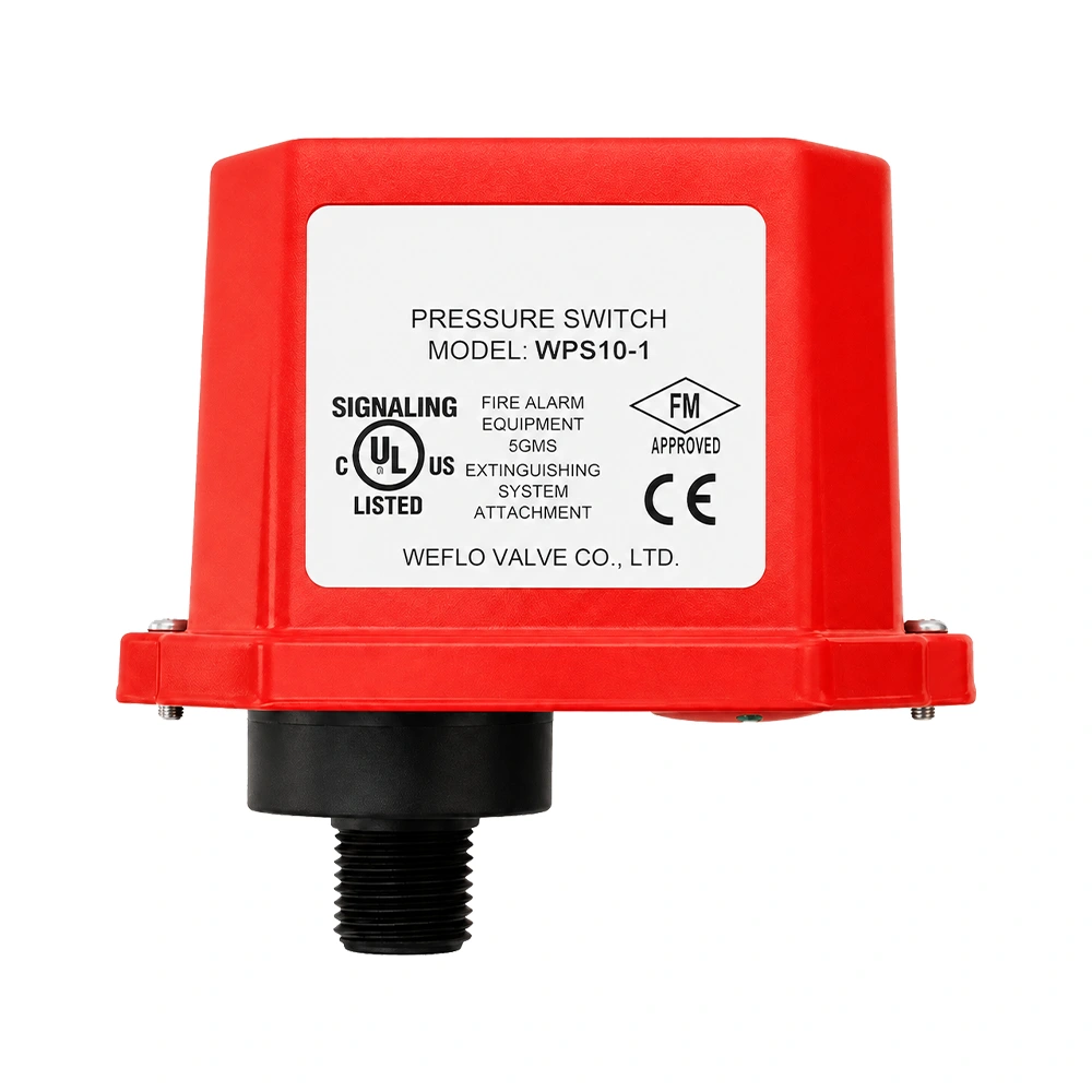 Interruptor presión<br>WPS10-1
