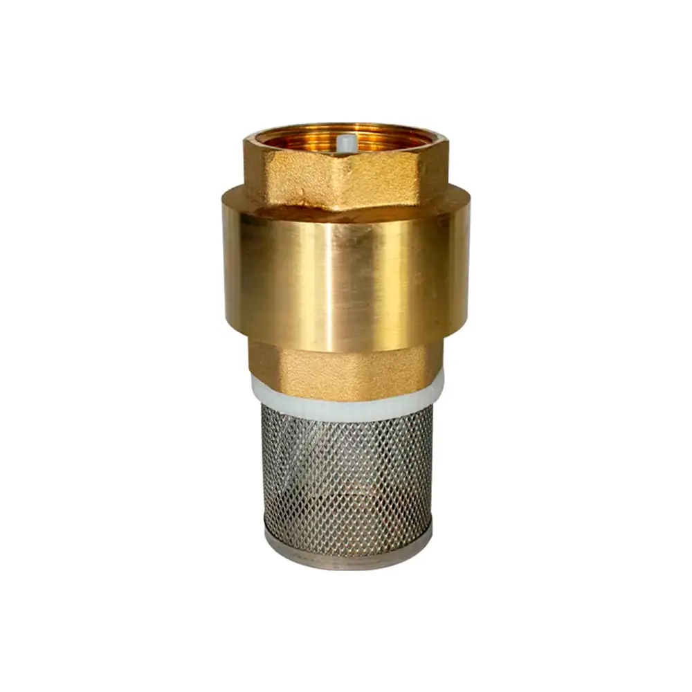 Válvula retención de pie roscada con filtro inox