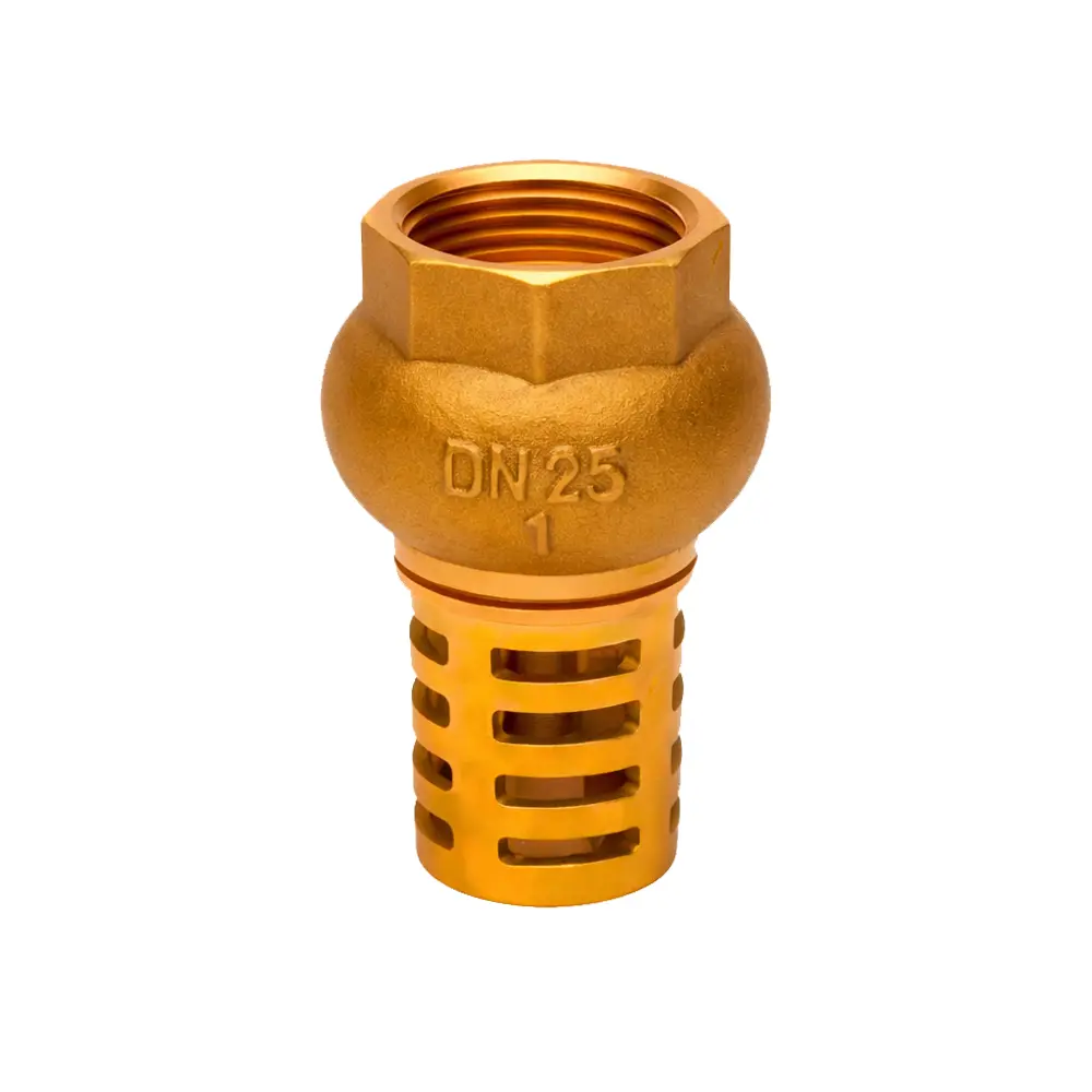Válvula retención de pie roscada con filtro de latón
