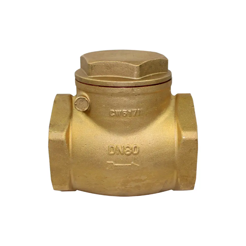 Válvula retención clapeta oscilante HH