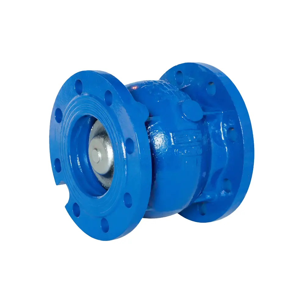 Válvula retención de pie embridada