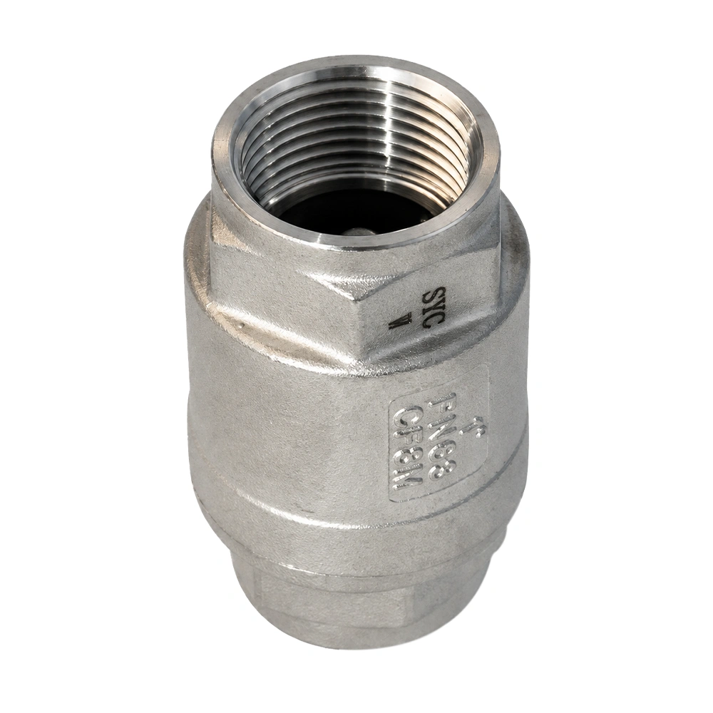 Válvula retención HH inoxidable PN63